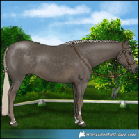Horse Color:Silver Smoky Black 