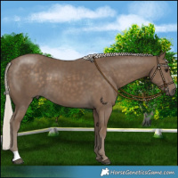 Horse Color:Silver Smoky Black 
