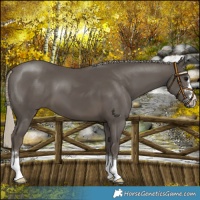 Horse Color:Silver Smoky Black 
