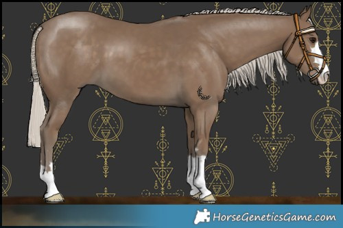 Horse Color:Silver Smoky Black 