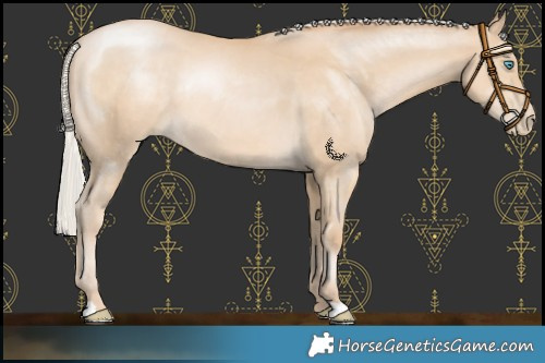 Horse Color:Silver Smoky Black Pearl Rabicano