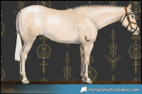 Horse Color:Silver Smoky Black Pearl Rabicano 