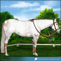 Horse Color:Gray Gold Champagne Tobiano Leopard 
