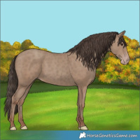 Horse Color:Classic Champagne 