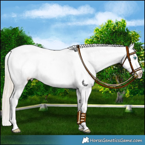 Horse Color:Perlino Near Fewspot 