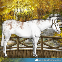 Horse Color:White Spotted Silver Brown Dun 