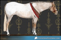 Horse Color:White Spotted Chocolate Palomino Roan Snowcap Rabicano 