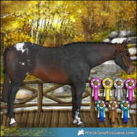 Horse Color:Brown Varnish