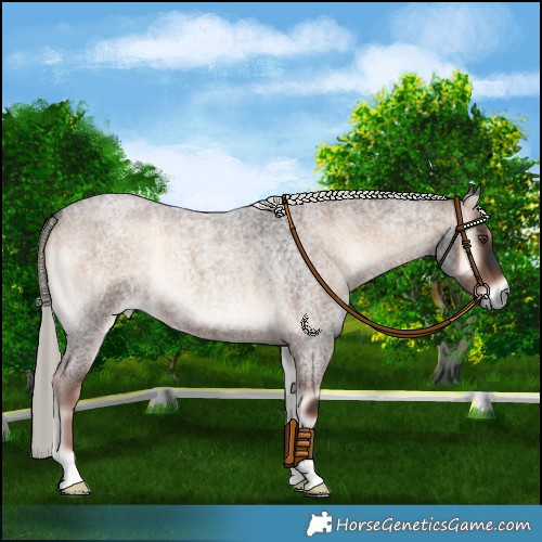 Horse Color:Liver Red Onyx Roan Mushroom