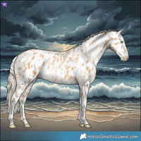 Horse Color:Gold Cream Champagne Appaloosa  and Gold Cream Champagne Appaloosa 