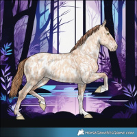 Horse Color:Gold Champagne Dun Blanket  and Gold Champagne Dun Near Leopard 