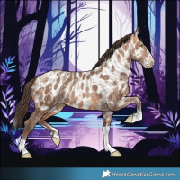 Horse Color:Sable Champagne Dun Tobiano Appaloosa  and Amber Champagne Splash Appaloosa 