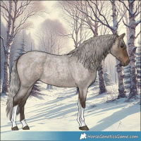Horse Color:Silver Brown Roan Dun Tobiano 