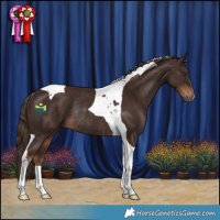 Horse Color:Liver Chestnut Tobiano Rabicano