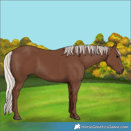 Horse Color:Silver Black
