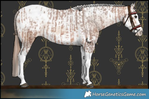 Horse Color:Bay Splash Tobiano Blanket  and Amber Champagne Splash Tobiano Blanket 