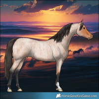 Horse Color:Bay Roan Rabicano 
