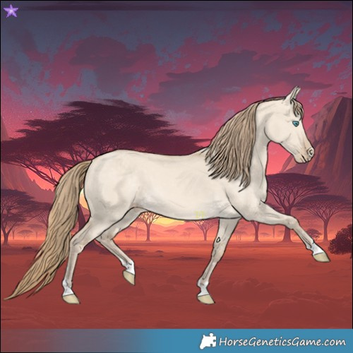 Horse Color:Perlino Dun