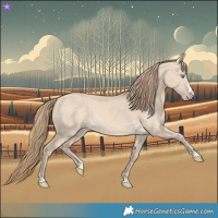 Horse Color:Perlino Dun 