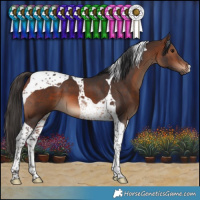 Horse Color:Brown Tobiano 