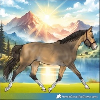 Horse Color:Buckskin