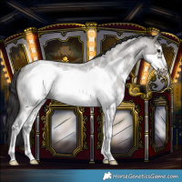 Horse Color:Smoky Grullo Roan Sabino Frame Rabicano 