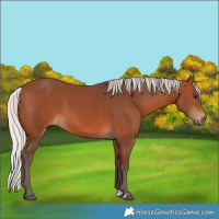 Horse Color:Silver Brown