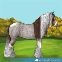 Horse Color:Gray Red Roan Splash Tobiano 