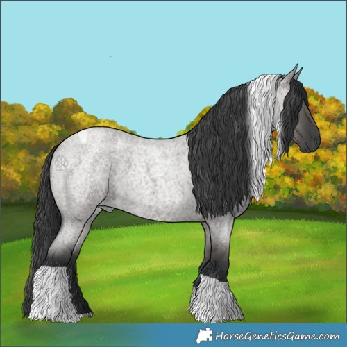Horse Color:Grullo Roan Tobiano