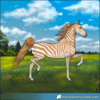 Horse Color:Chestnut Tobiano Rabicano 