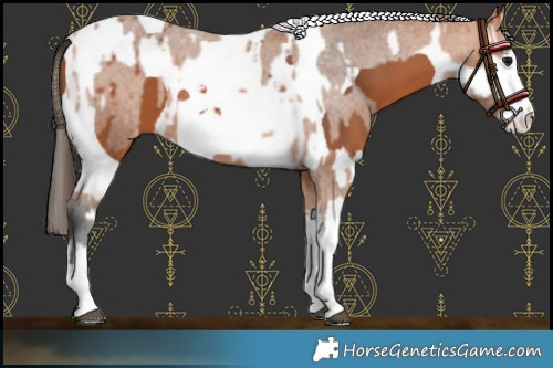 Horse Color:Bay Splash Tobiano Varnish  and Bay Splash Tobiano 
