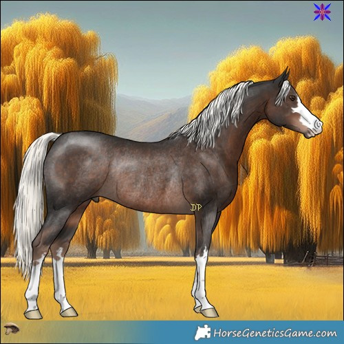 Horse Color:Liver Chestnut Mushroom Rabicano