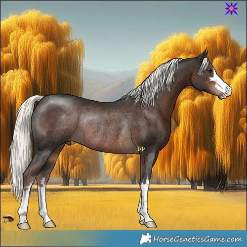 Horse Color:Liver Chestnut Mushroom Rabicano 