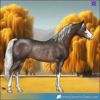 Horse Color:Liver Chestnut Mushroom Rabicano 