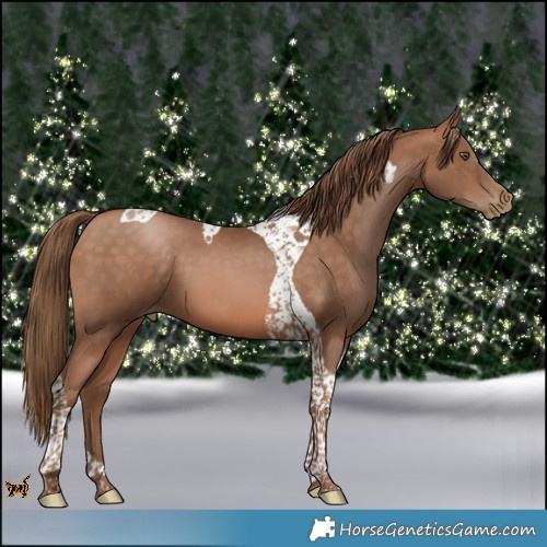 Horse Color:Brown Pearl Tobiano 