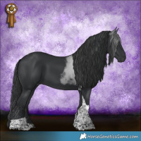 Horse Color:Black Tobiano 