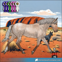 Horse Color:Powder White Silver Bay Roan Dun Brindle