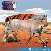 Horse Color:Powder White Silver Bay Roan Dun Brindle