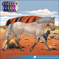 Horse Color:Powder White Silver Bay Roan Dun Brindle 