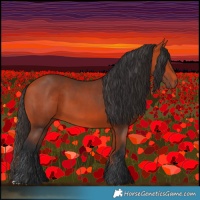 Horse Color:Bay 
