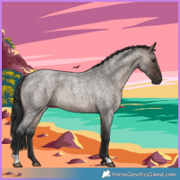 Horse Color:Brown Roan Dun 