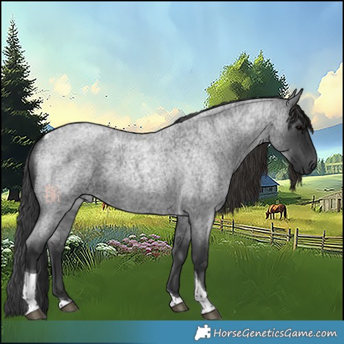 Horse Color:Blue Roan Tobiano 