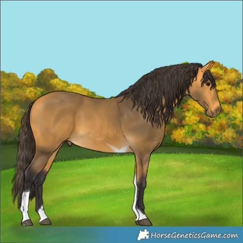 Horse Color:Buckskin Tobiano 