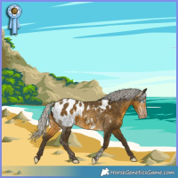 Horse Color:Gray Silver Sable Cream Champagne Tobiano Near Leopard 