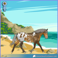 Horse Color:Gray Silver Sable Cream Champagne Tobiano Near Leopard 