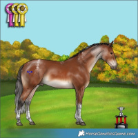 Horse Color:Powder White Bay Tobiano Rabicano