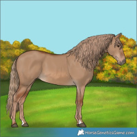 Horse Color:Red Dun
