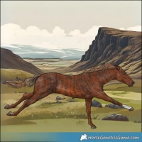 Horse Color:Liver Chestnut  and Chestnut 