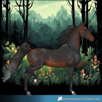 Horse Color:Brown 