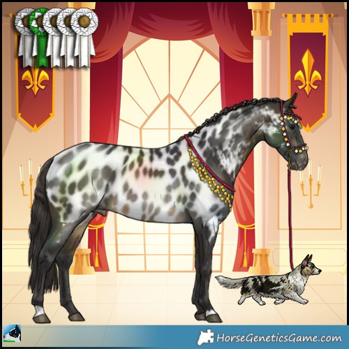 Horse Color:Buckskin Near Leopard 